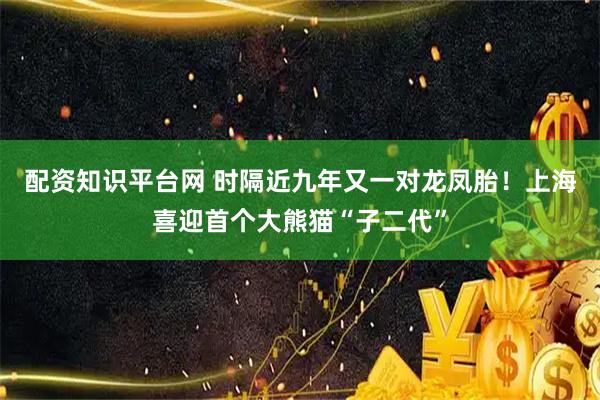配资知识平台网 时隔近九年又一对龙凤胎！上海喜迎首个大熊猫“子二代”