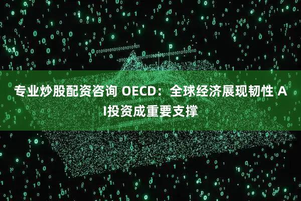 专业炒股配资咨询 OECD：全球经济展现韧性 AI投资成重要支撑