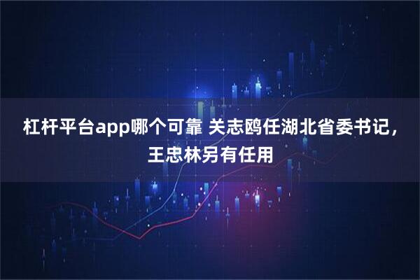 杠杆平台app哪个可靠 关志鸥任湖北省委书记，王忠林另有任用