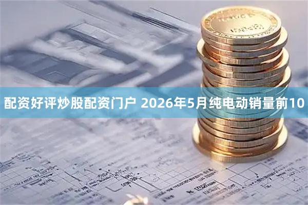 配资好评炒股配资门户 2026年5月纯电动销量前10